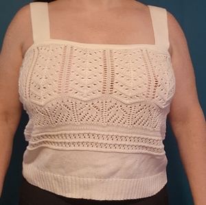 Express cropped knit sweater medium